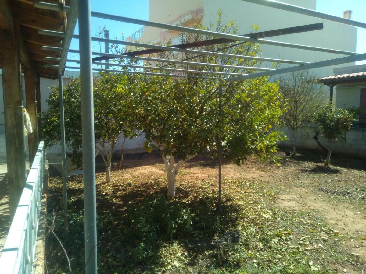 Vangelis House Near Athens Airport Artemida  Dış mekan fotoğraf