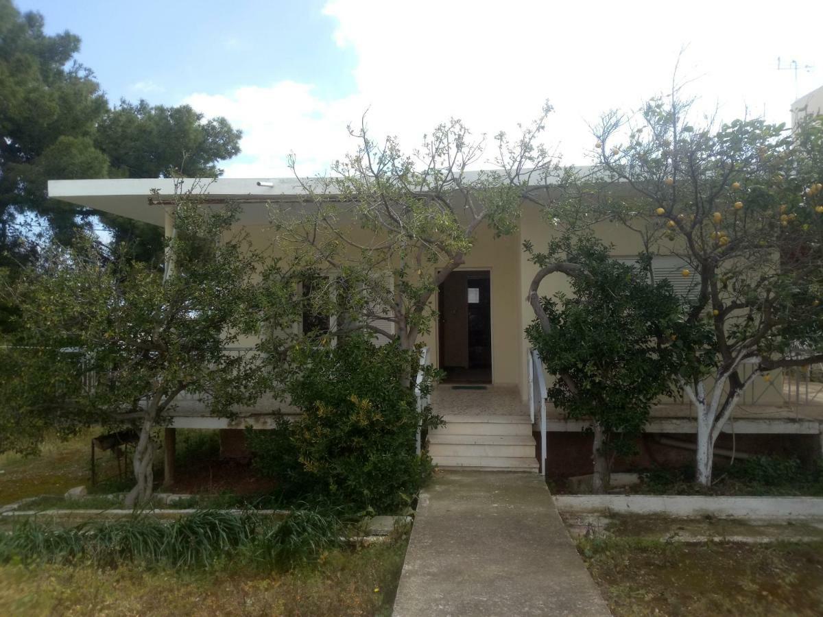 Vangelis House Near Athens Airport Artemida  Dış mekan fotoğraf